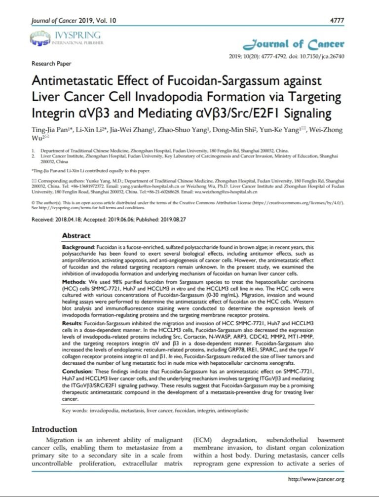 Antimetastatic Effect of Fucoidan-Sargassum against Liver Cancer Cell Invadopodia Formation via Targeting Integrin αVβ3 and Mediating αVβ3/Src/E2F1 Signaling