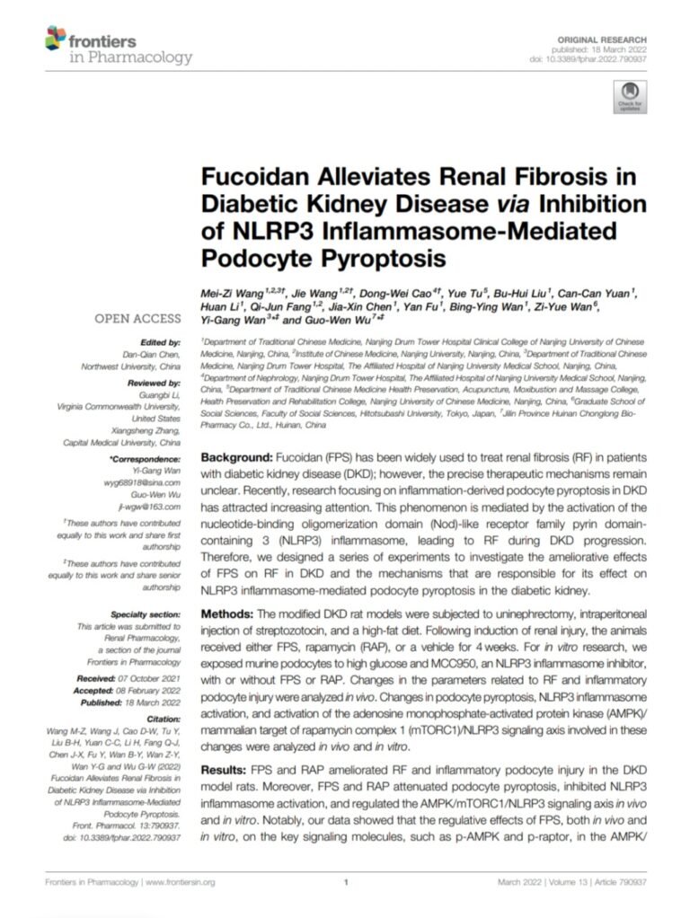 Fucoidan Alleviates Renal Fibrosis in Diabetic Kidney Disease via Inhibition of NLRP3 Inflammasome-Mediated Podocyte Pyroptosis