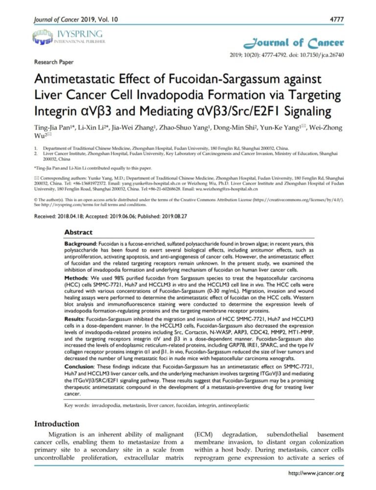 Antimetastatic Effect of Fucoidan-Sargassum against Liver Cancer Cell Invadopodia Formation via Targeting Integrin αVβ3